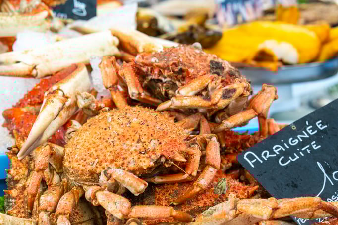 Fotografiert mit Nikon Z8 und Nikkor Z 85mm F/1.2 S in Le Trepore, Frankreich