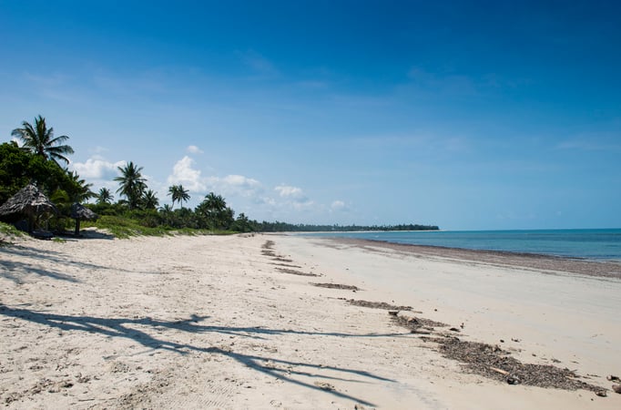 Pangani Strand, Tansania 