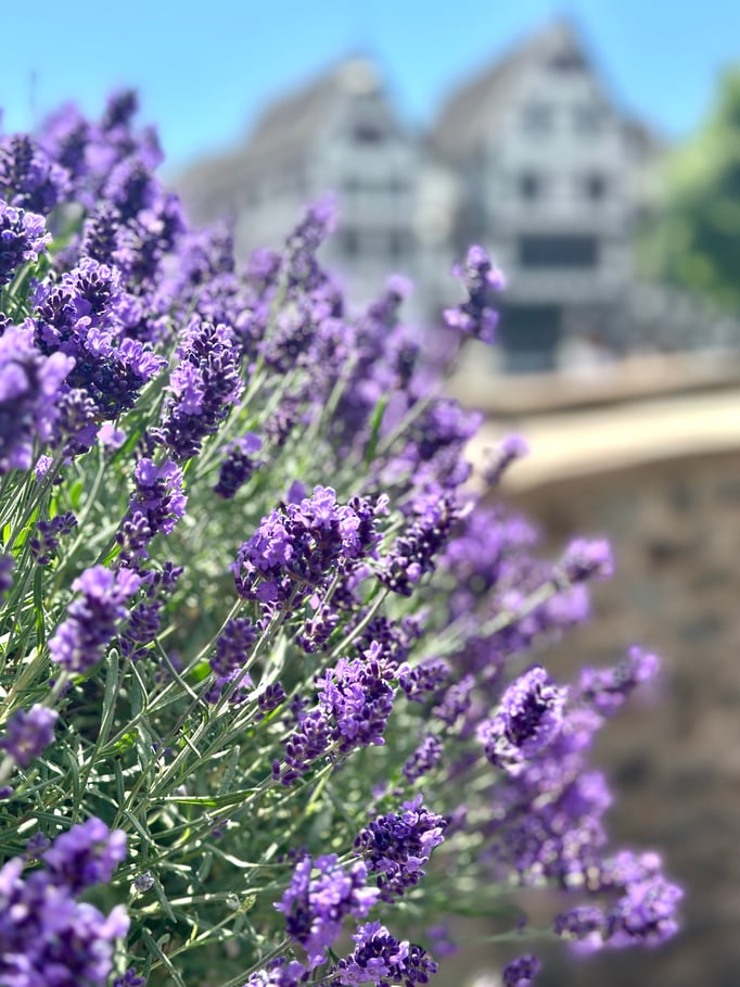 Street Fotografie Fototour Bad Münstereifel