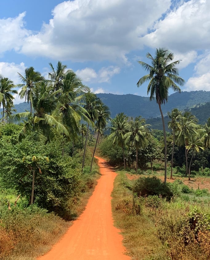 Usambara Berge, Tansania