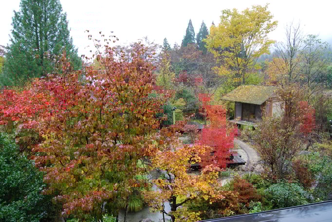 秋　秋の紅葉　紅葉１０月中旬～１１月中旬