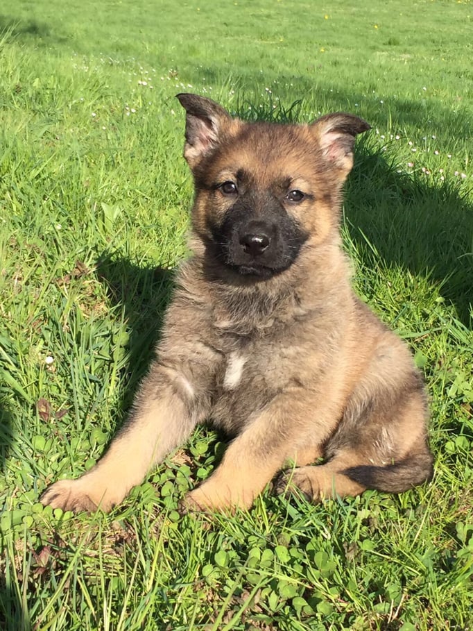 X-Wurf von der Gletscherhöhle