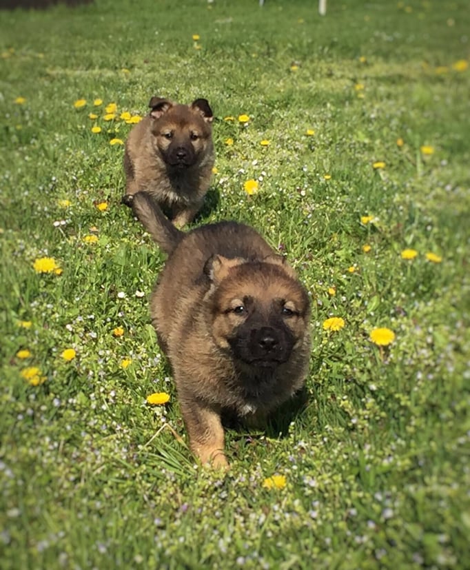 X-Wurf von der Gletscherhöhle