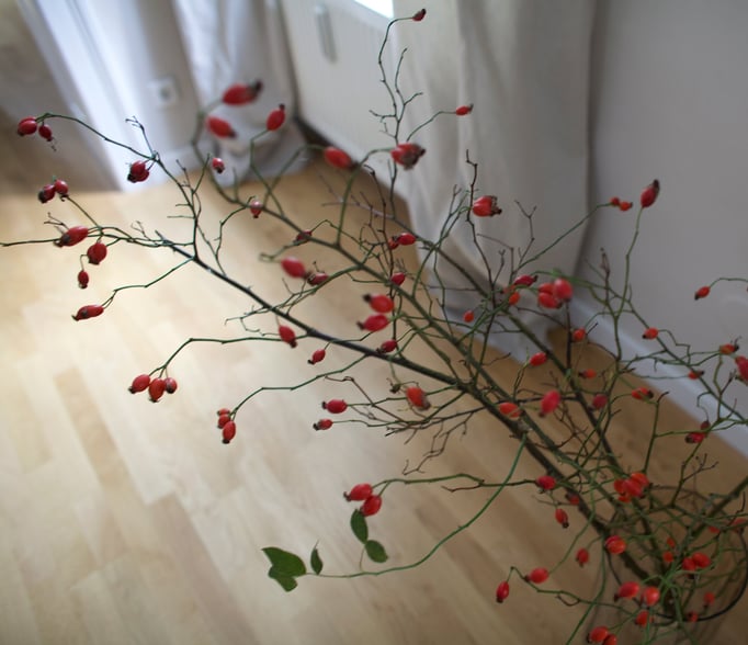 Interior Design OBJEKT.RAUM Mondsee