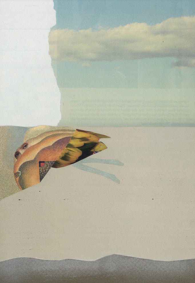 Collage by deborah harris