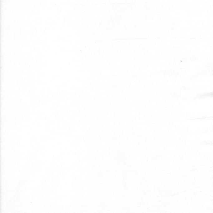 Timeless Treasures Tonga B7900 Whisper (blanc avec reflet bleuté)