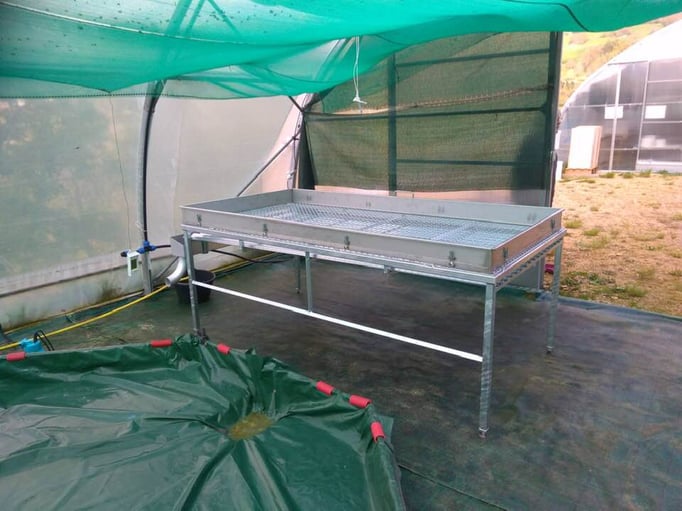 table en inox pour spiruline