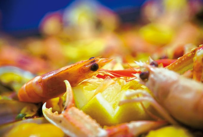 Traiteur spécialiste de la paella