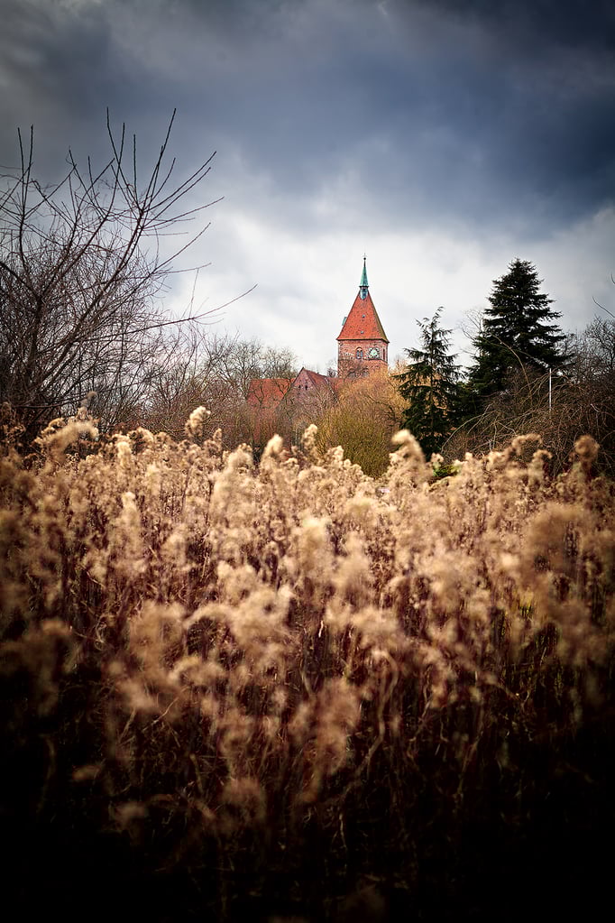Wildeshausen | Alexanderkirche