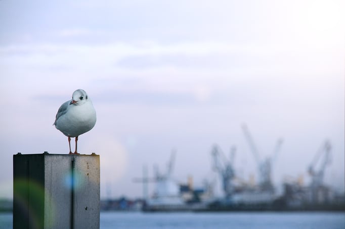 Hamburg | Landungsbrücken