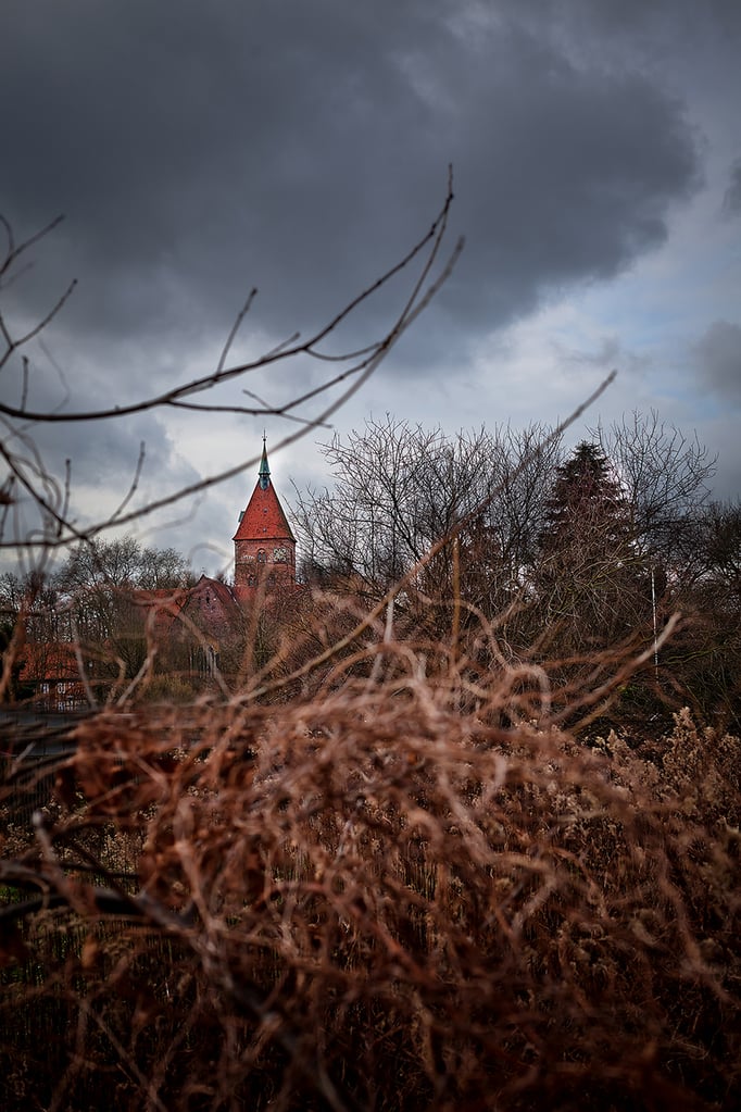 Wildeshausen | Alexanderkirche