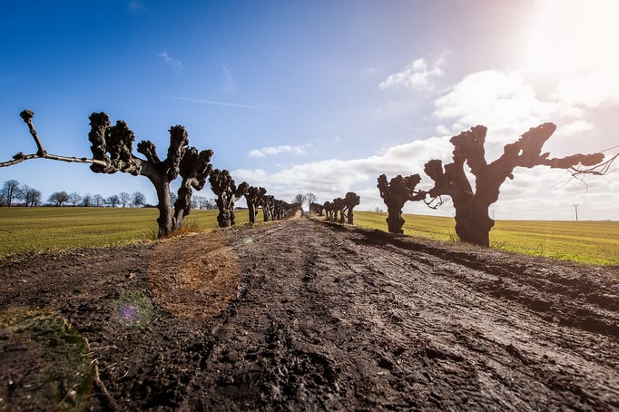 Klützer Winkel: Schloß Bothmer