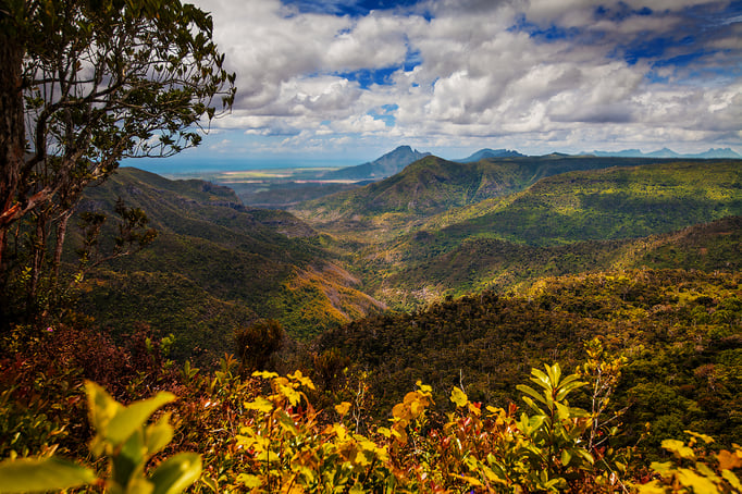 Black River Gorges National Park
