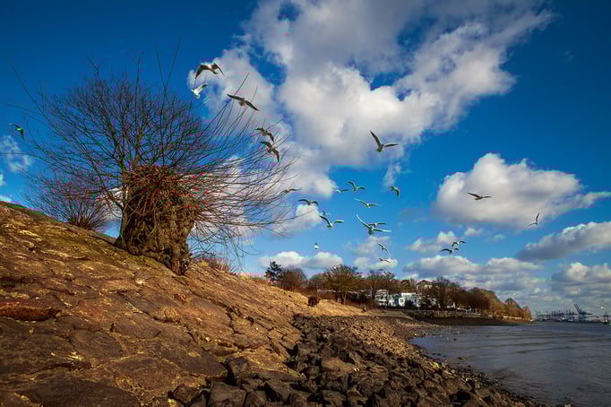 Hamburg | Elbe | Teufelsbrück