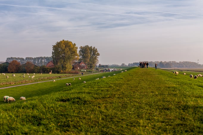 Hamburg | Elbe | Fährmanssand