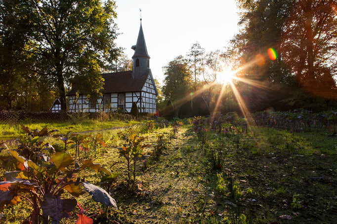 Cloppenburg | Museumsdorf 
