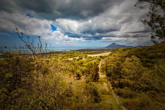 Black River Gorges National Park