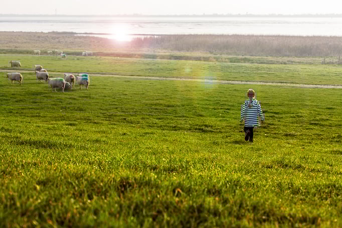 Hamburg | Elbe | Fährmanssand