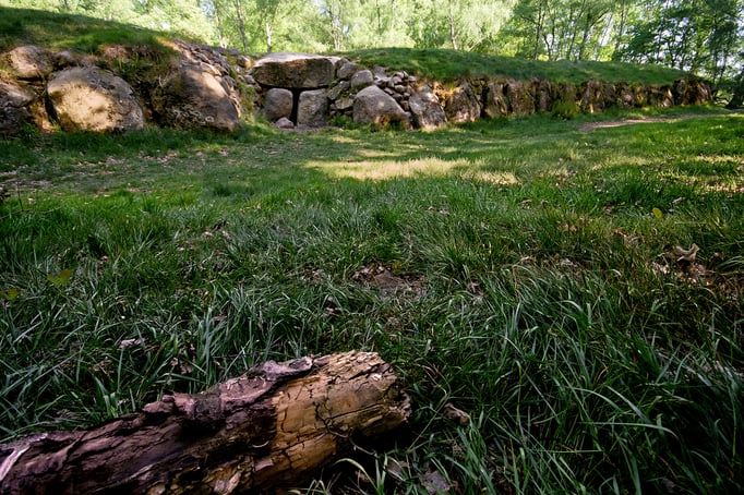 Kleinenkneter Steine | Megalithanlage