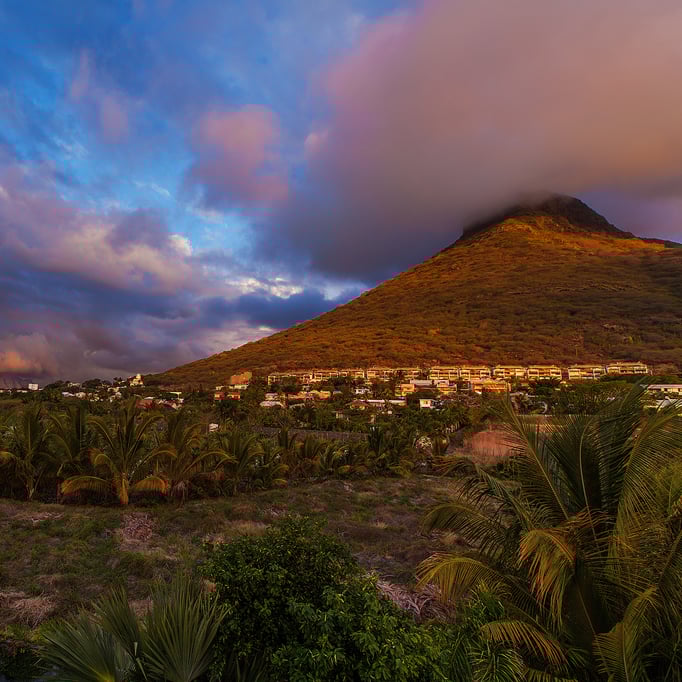 Tamarin: À la maison sur le toit