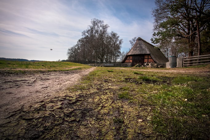 Wildeshausen | Pestruper Gräberfeld | Schafskoben