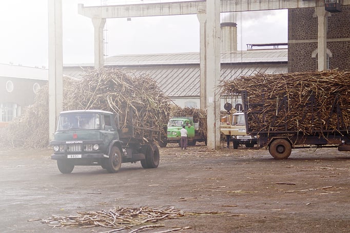 Bambous: Medine Sugar Mill