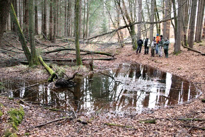 Kleines Kesselmoor (Foto: Horst Guckelsberger) 