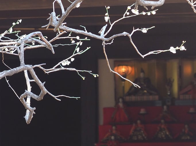 2019/03ひな飾り（すずめのお宿古民家） by @&@