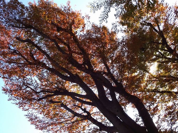 2021/11 油面公園　by @&@