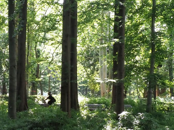 2023/8　緑の風になって…（林試の森公園）せいめいくん