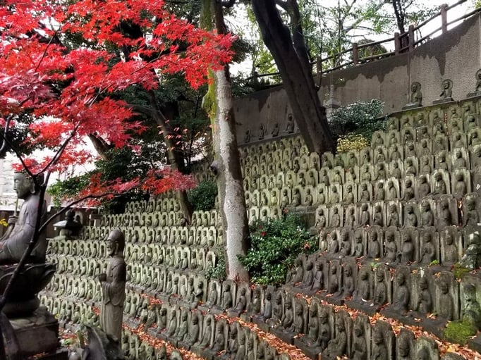 2021/12大圓寺五百羅漢 by @&@ 