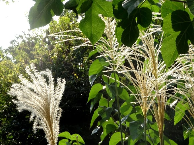 2021/09 秋の光　by @&@