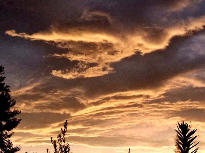 2022/8　夕焼け　せいめいくん