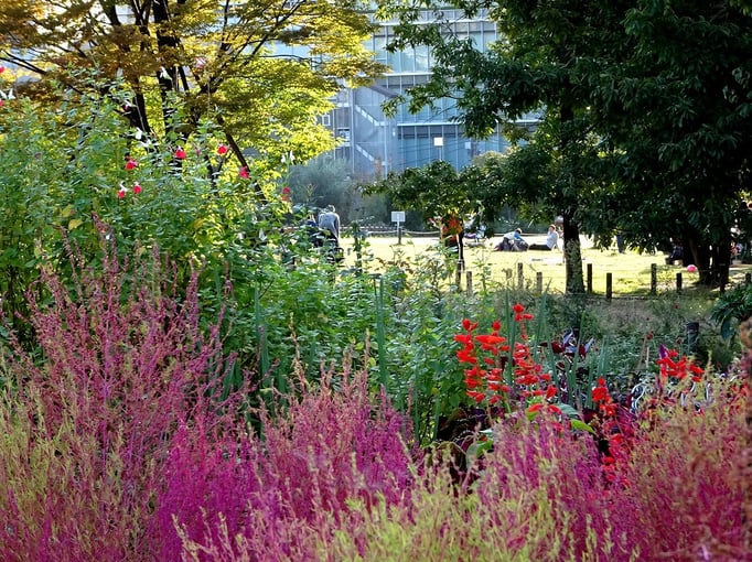 2019/10中目黒公園　 by  @&@