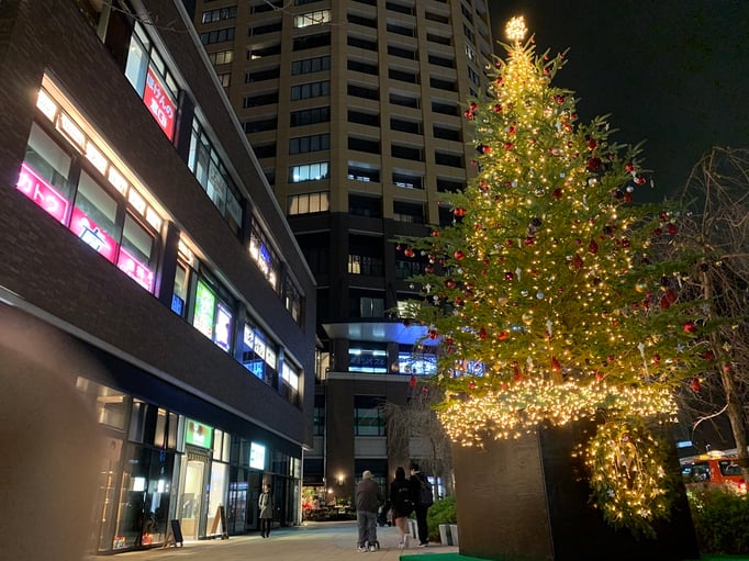 2020/12 クリスマスツリー　中目黒