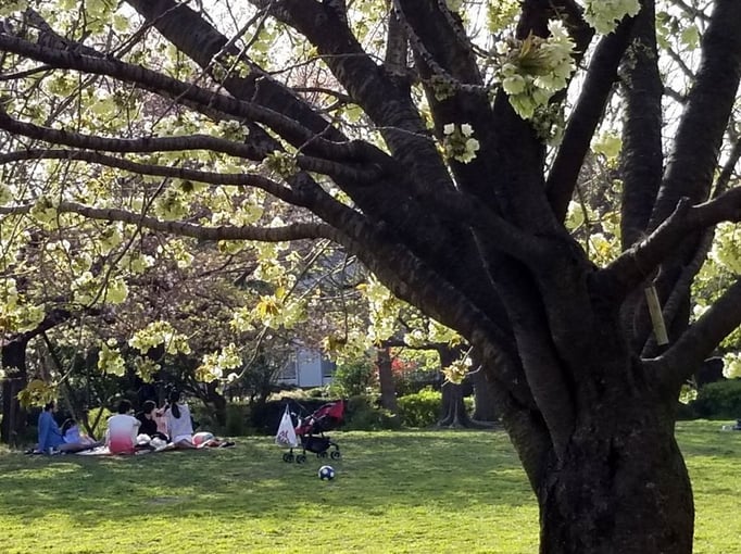 2022/04 ピクニック　東山公園　by @&@ 