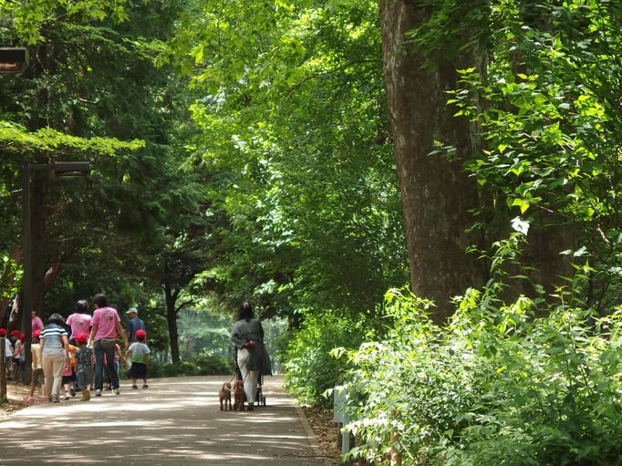 2015/5林試の森で散歩