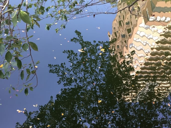 2020/09 目黒川の水面