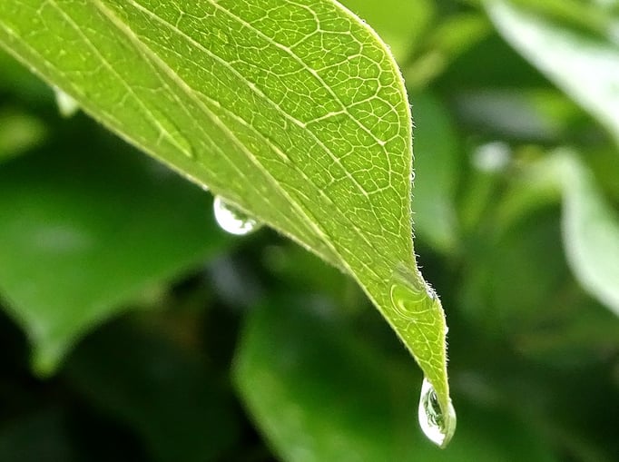 2022/05 五本木付近　by @&@