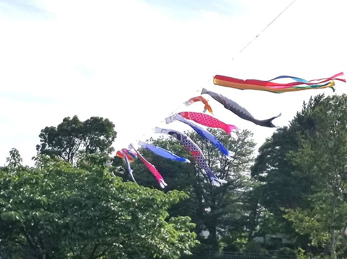 2023/5　鯉のぼり　せいめいくん