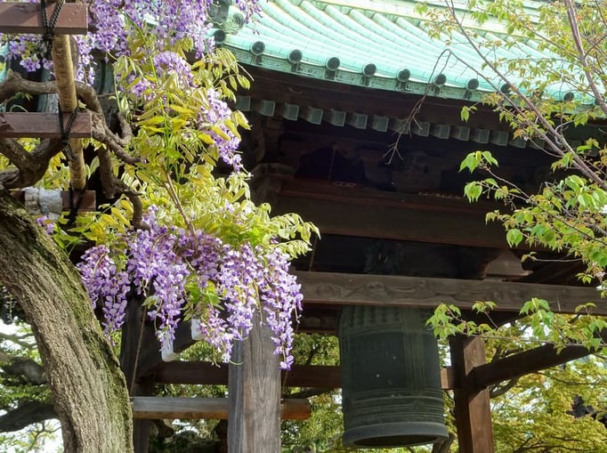 2022/05 祐天寺　by @&@