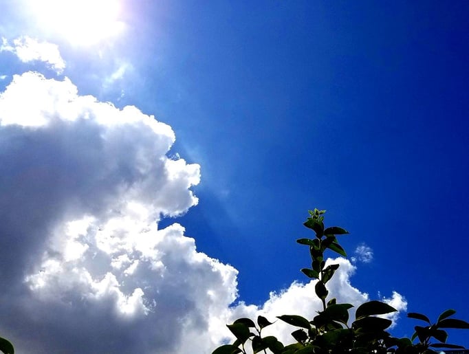 2020/09 真夏日　by @&@