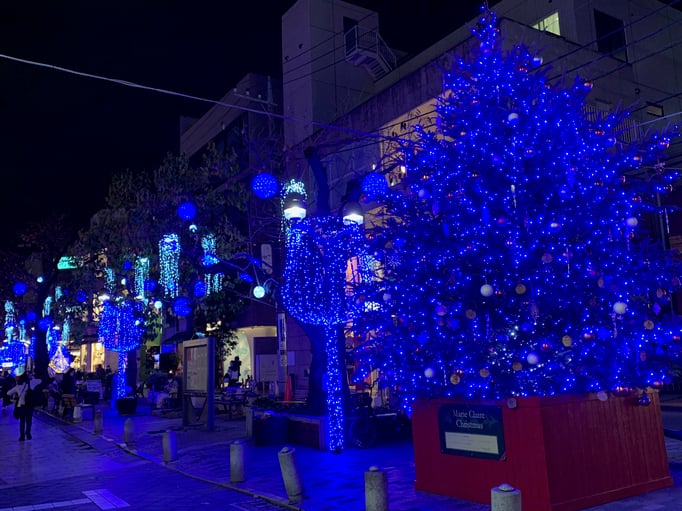 2020/12 クリスマスイルミネーション　自由が丘