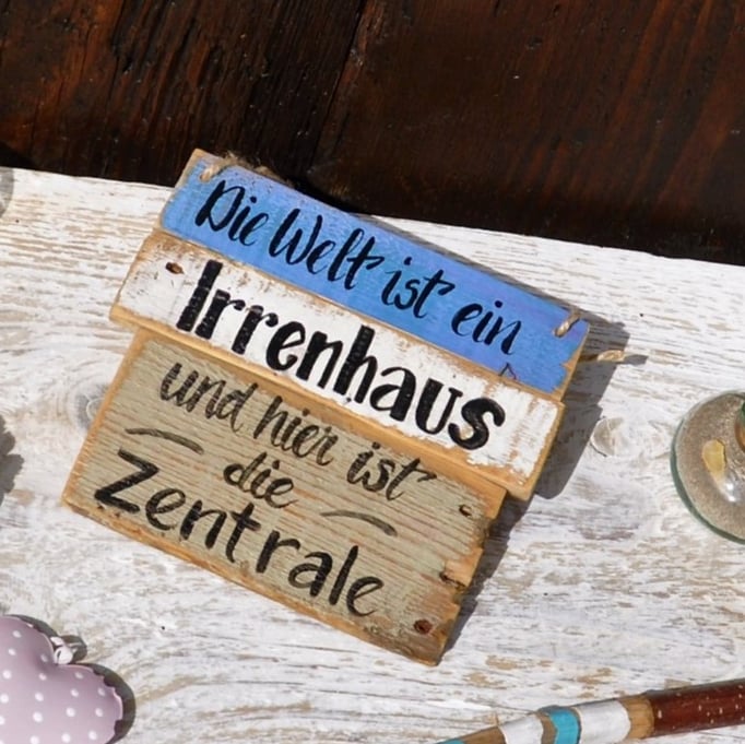 Irrenhaus Nr.4   ca.  18cm16cm  Fr.  29.-