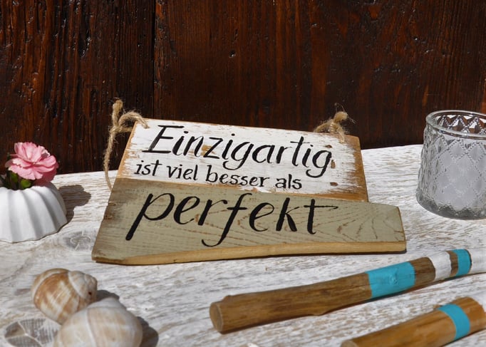 Einzigartig  Nr. 2   ca. 21m/16cm  Fr. 28.-