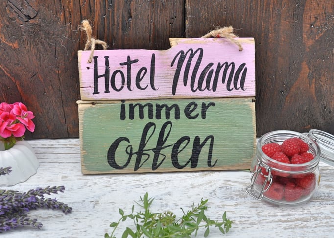 Hotel Nr. 1  ca. 20cm/15cm  Fr. 26