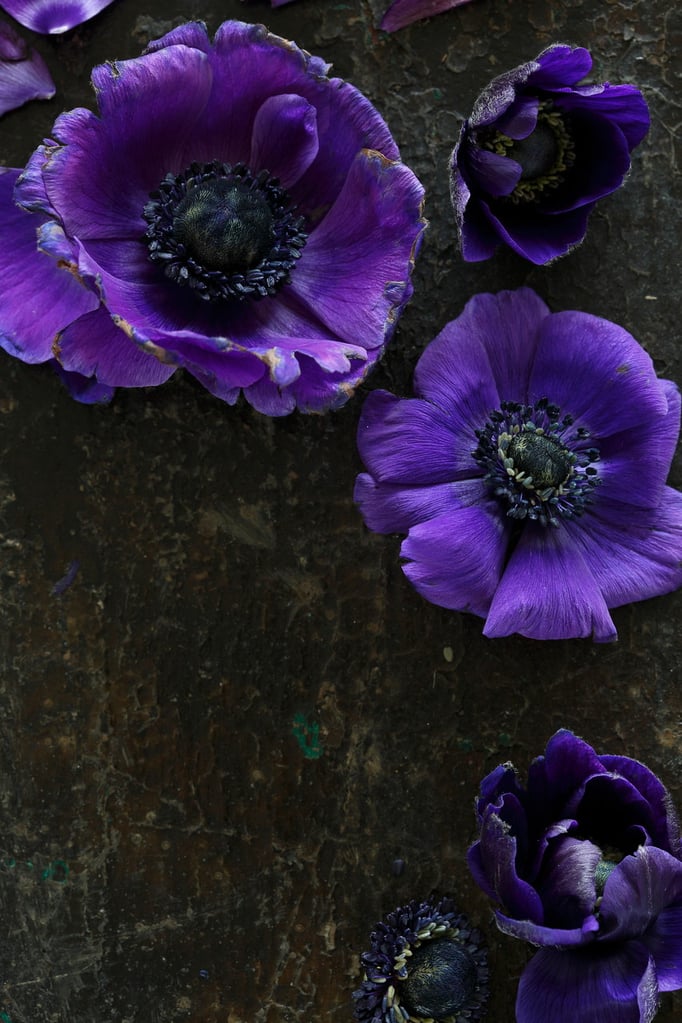 Foto: Daniel Aeschlimann