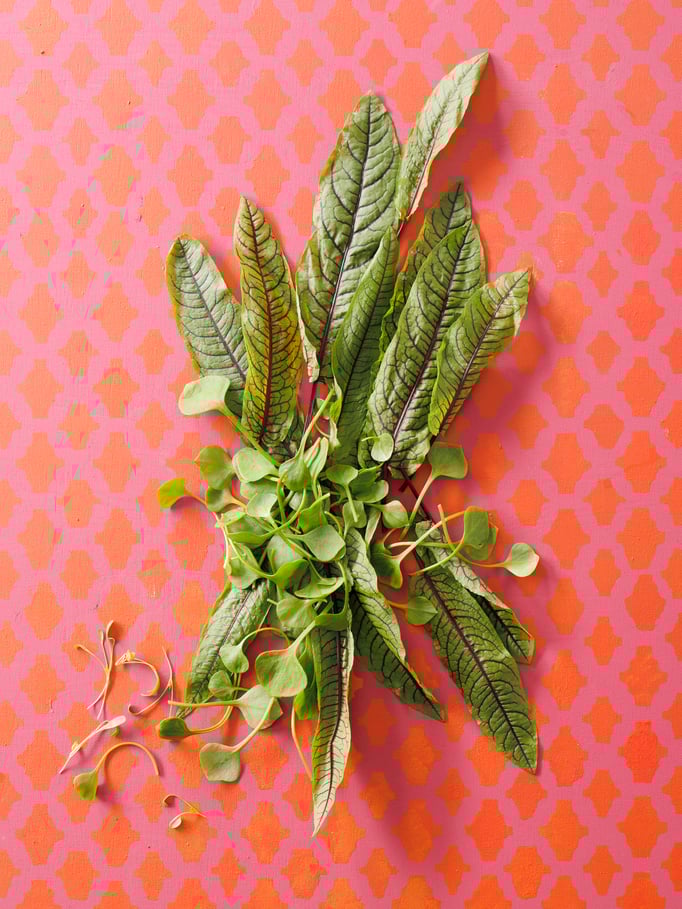 Foto: Giulia Marthaler