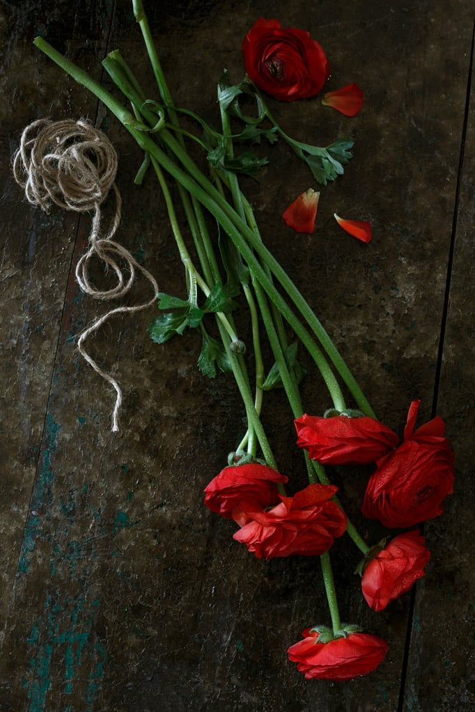 Foto: Daniel Aeschlimann