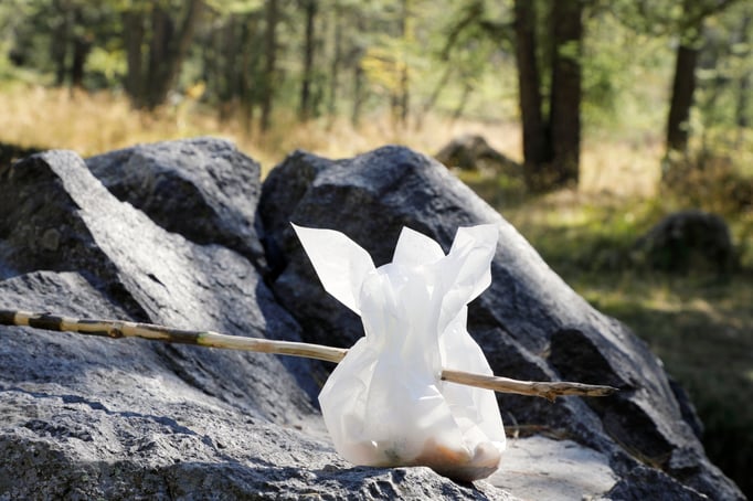 Bergliebe Foto: Daniel Aeschlimann